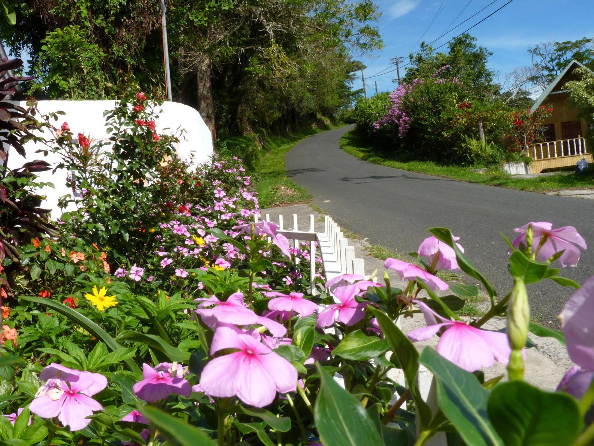Autana Bed & Breakfast Bajo Bajo Boquete Exterior foto